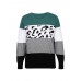 Women Color Block   Leopard Round Neck Long Sleeve Casual Sweaters